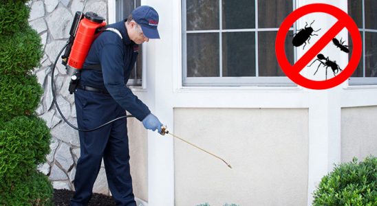 Baskil Bit İlaçlama böcek ilaçlama ve haşere kontrolü — ilaclama-tr.com